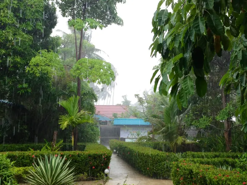 Ananda Yoga - Image 1