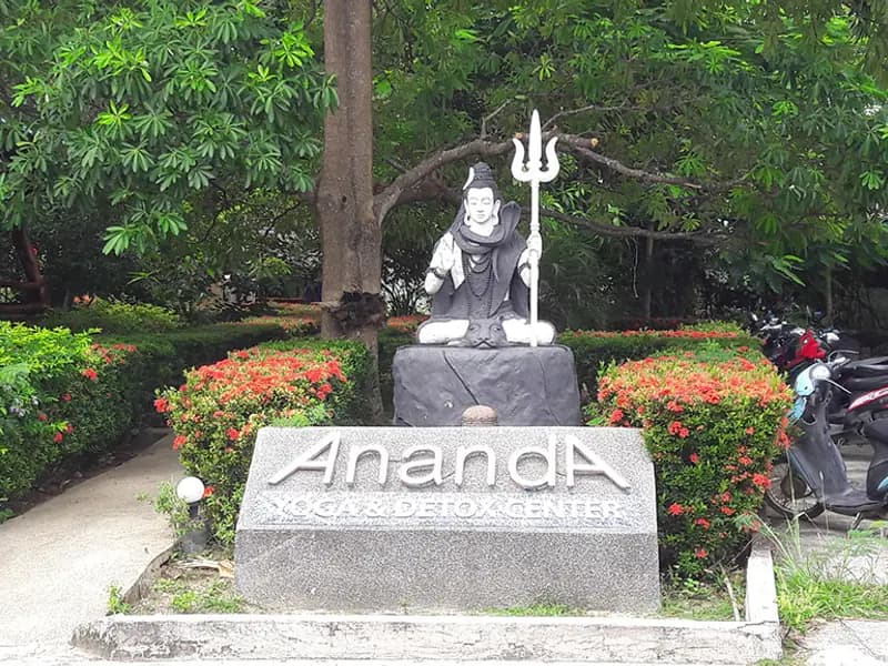 Ananda Yoga - Image 3