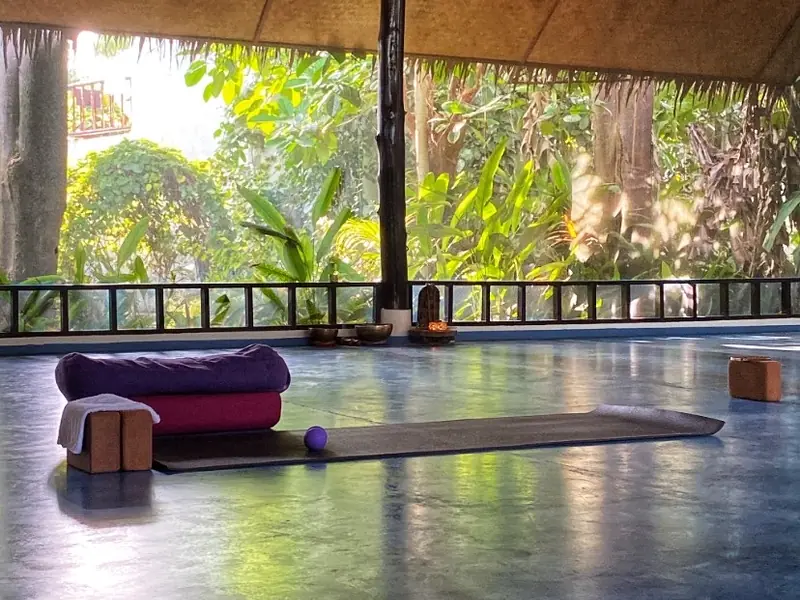 Ananda Yoga - Image 5