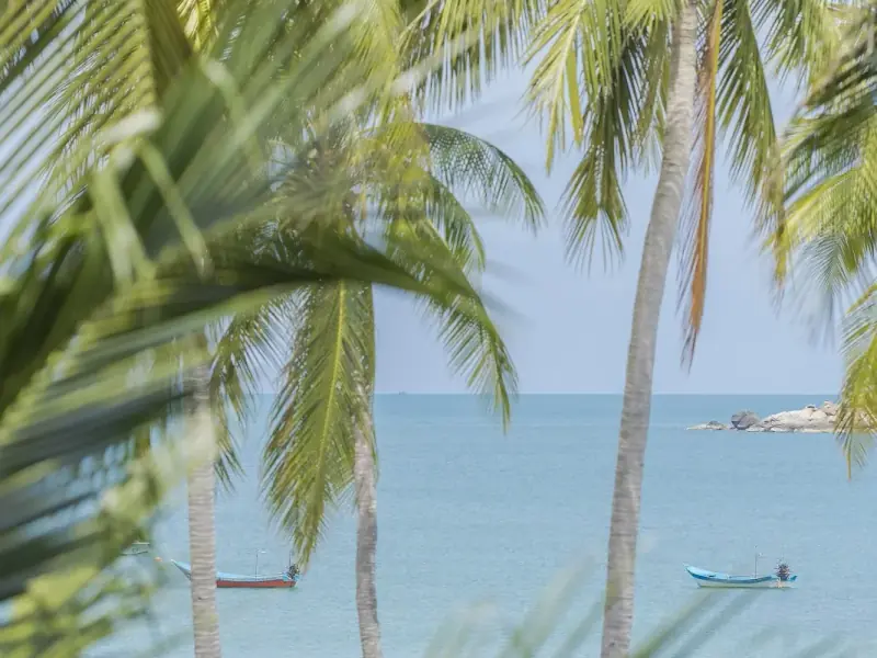 Bayshore Resort - Image 6