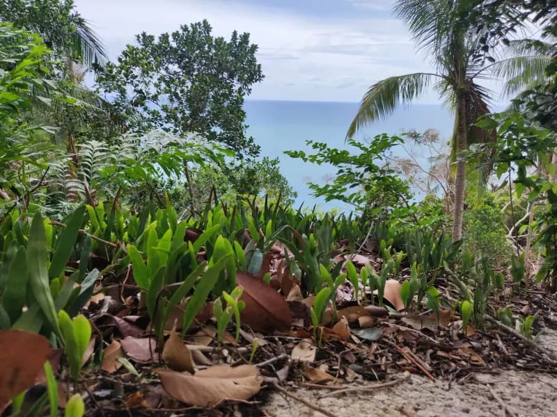Bottle Beach Viewpoint - Image 5