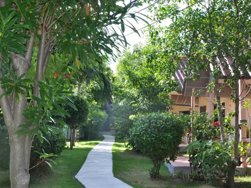 Coral Bungalows - Image 8