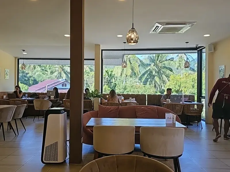 Deli Devi
