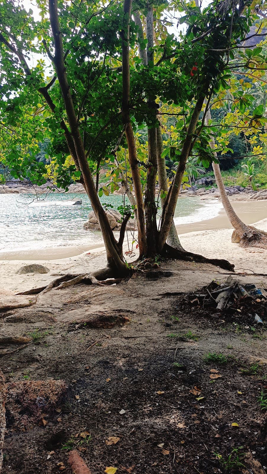 Haad Thong Reng Beach - Image 8