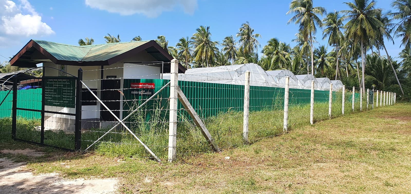 Koh Phangan Hospital - Image 3