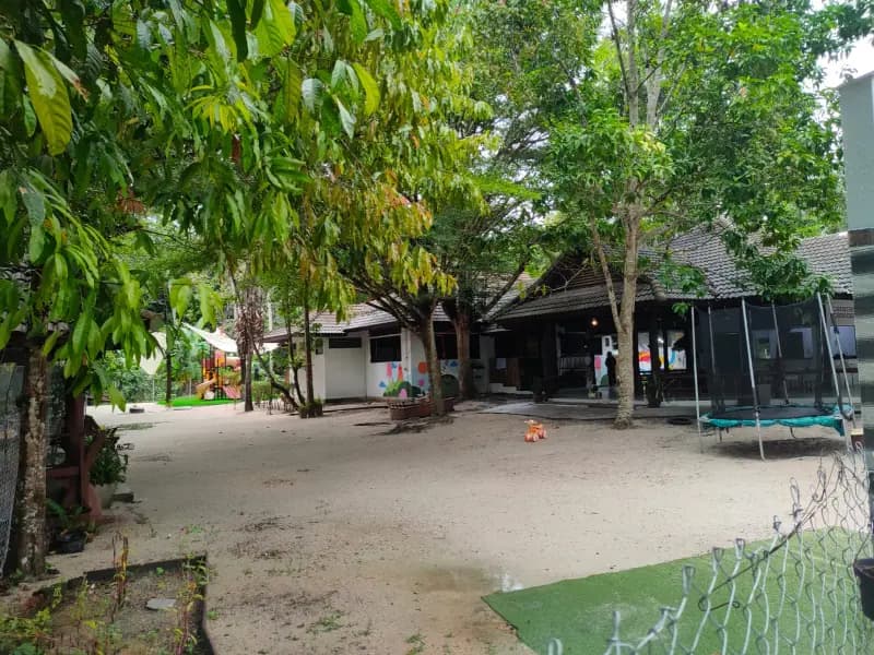 Little Panda Kindergarten - Image 9