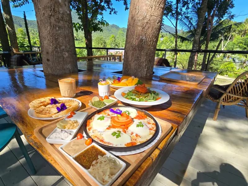 Loyfa Organic Farm - Image 3