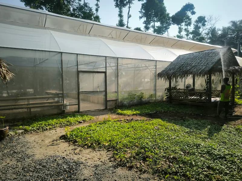 Loyfa Organic Farm - Image 7