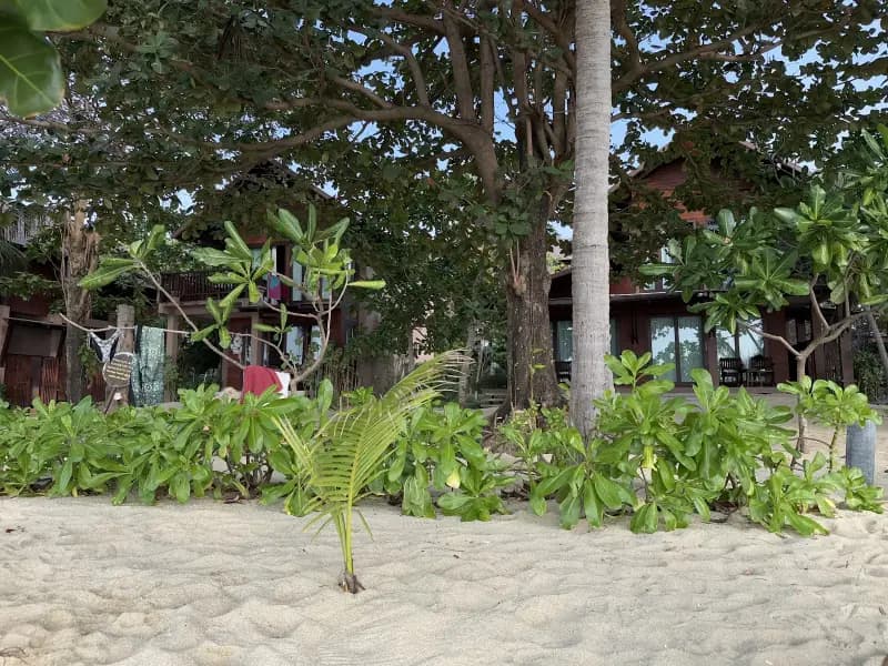 Mae Haad Beach - Image 10