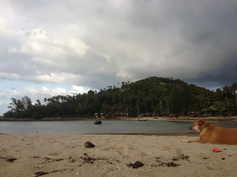 Mae Haad Beach - Image 9