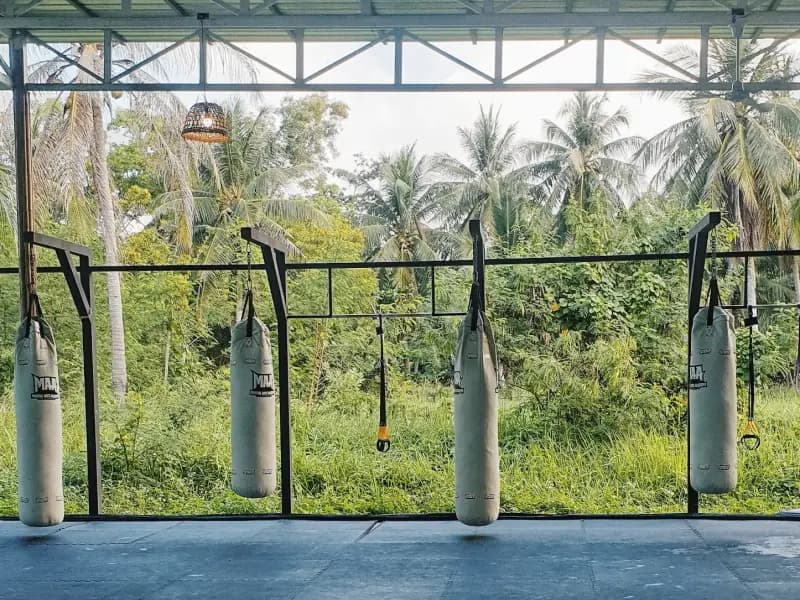 Martial Arts Academy - Image 3