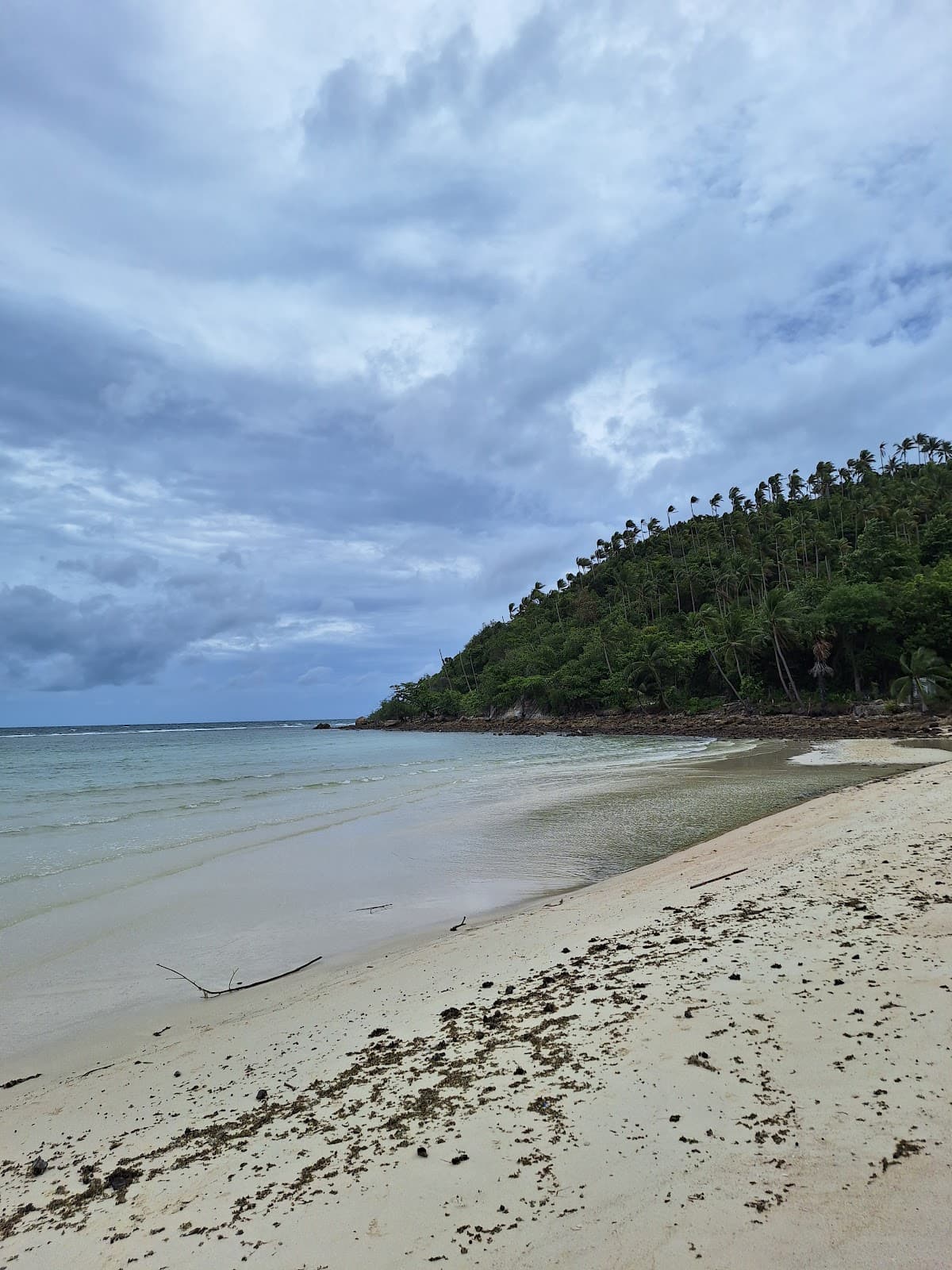 Salad Beach - Image 6