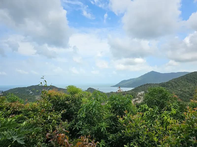 Wang Sai Waterfall - Image 6