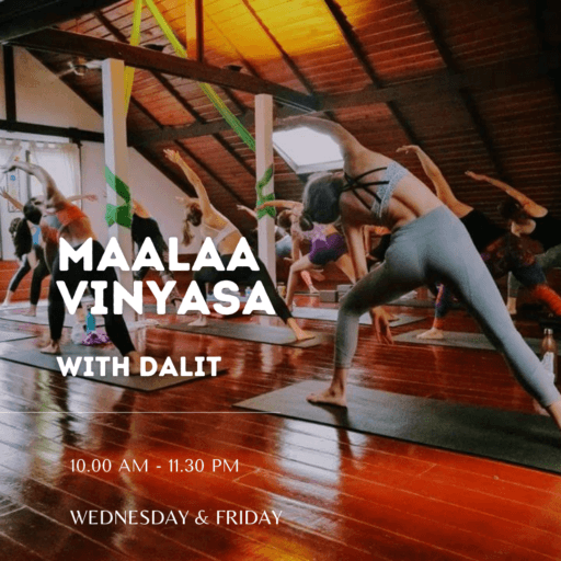 Maalaa Vinyasa w/ Dalit