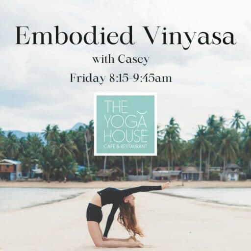 Embodied Vinyasa Flow w/ Casey