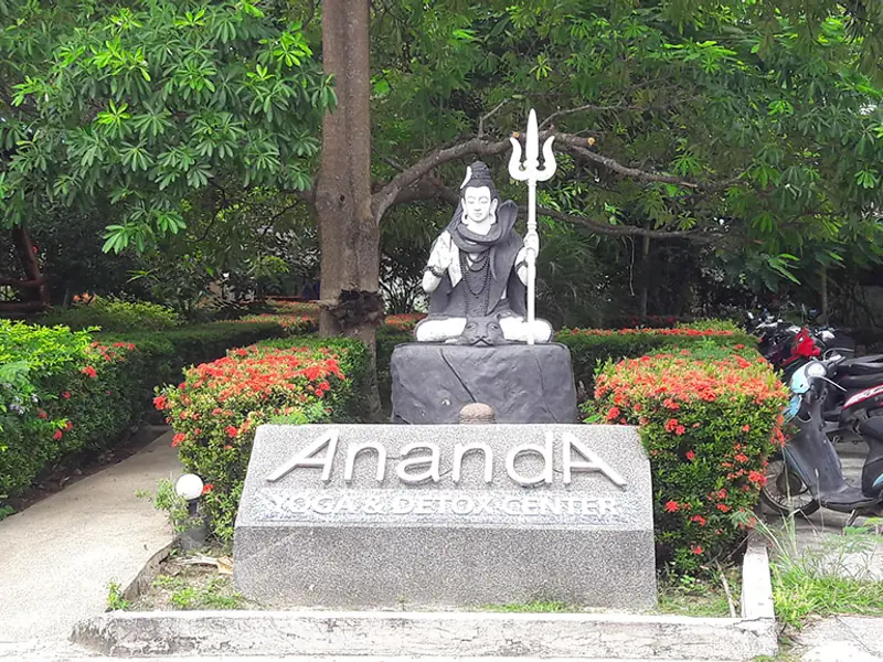 Ananda Yoga - Image 3