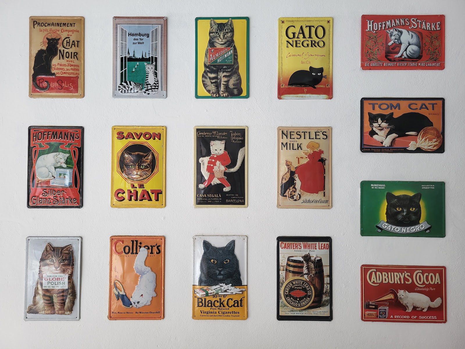 Fat Cat - Image 5