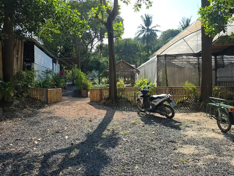 Loyfa Organic Farm - Image 6