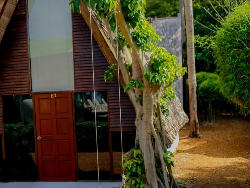 Milky Bay Resort - Image 9