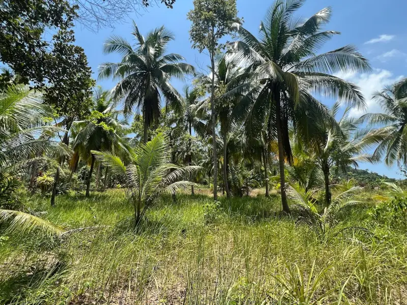 Namtok Than Sadet National Park - Image 8