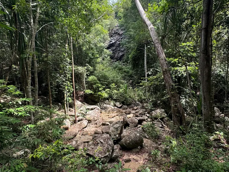 Paradise Waterfall - Image 4