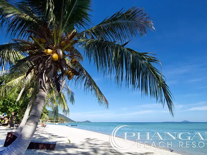 Phangan Beach Resort - Image 7
