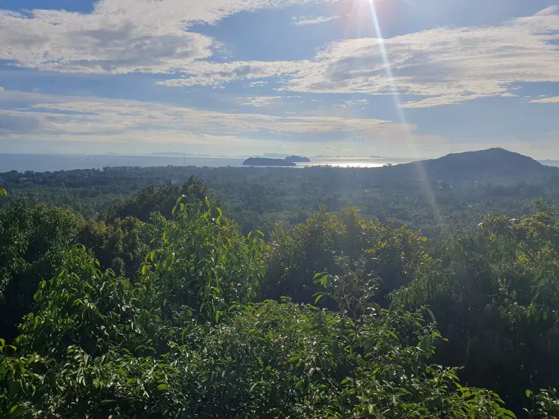 Secret Mountain Viewpoint - Image 7