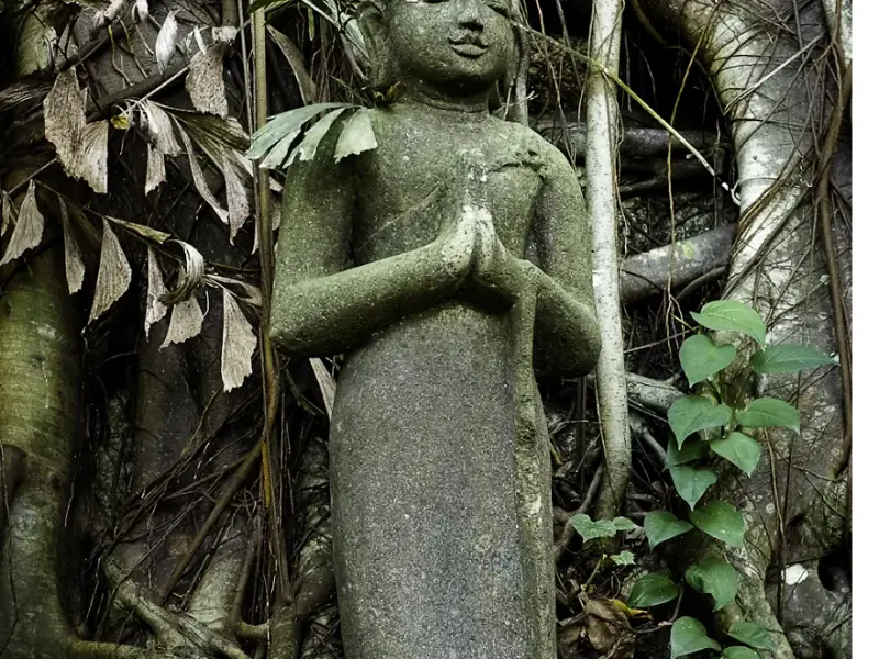 The Sanctuary - Image 8