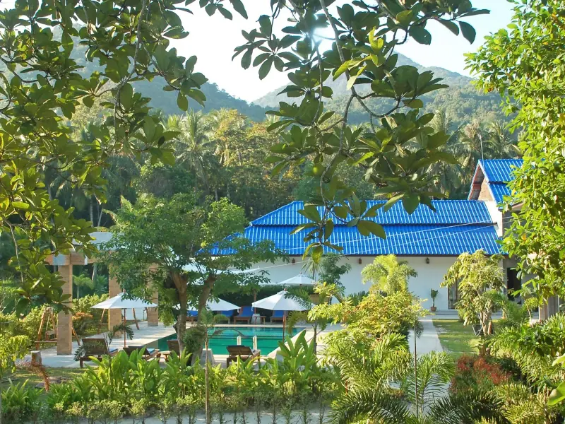 Wonderland Healing Center