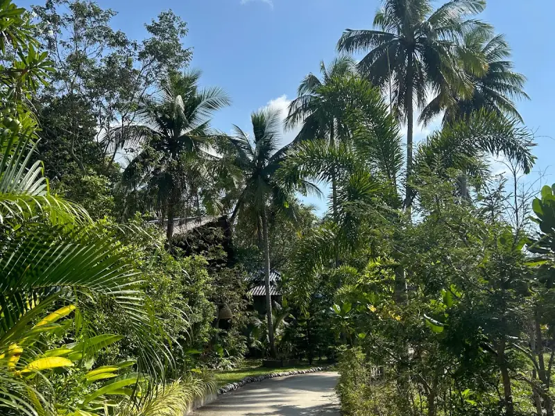 Wonderland Healing Center - Image 9