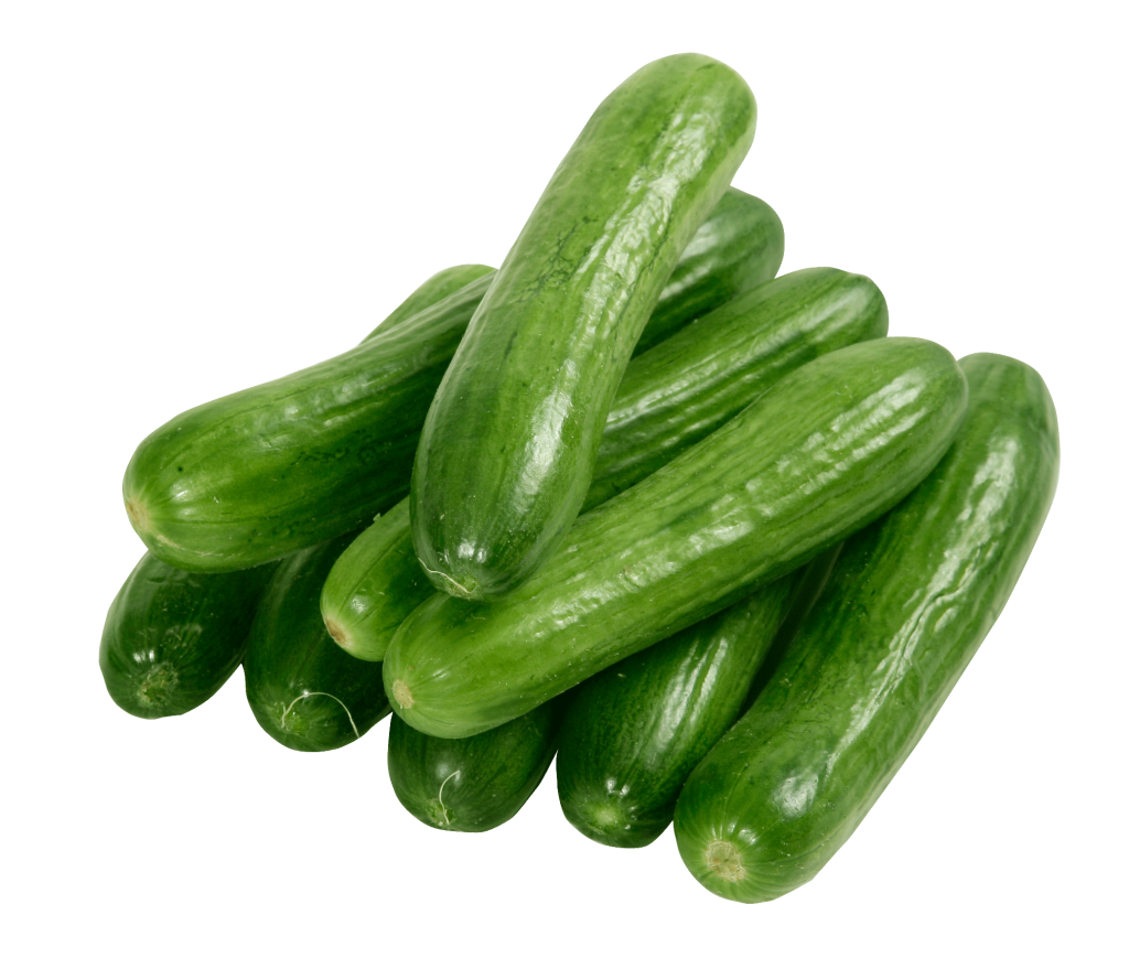 Cucumber